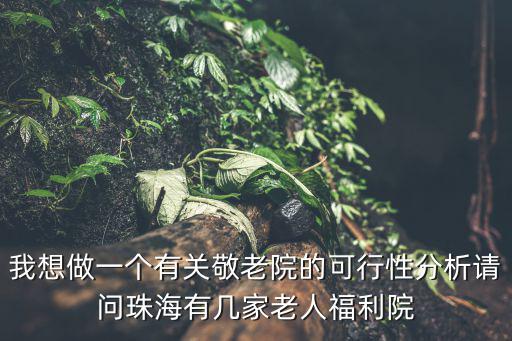 我想做一個有關敬老院的可行性分析請問珠海有幾家老人福利院