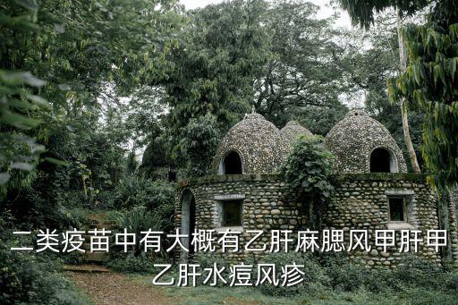 二類疫苗有哪些，二線疫苗是指那些