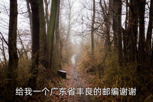 給我一個(gè)廣東省豐良的郵編謝謝