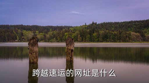 跨越速運的網址是什么