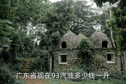 廣東油價(jià)，廣東省現(xiàn)在93汽油多少錢一升