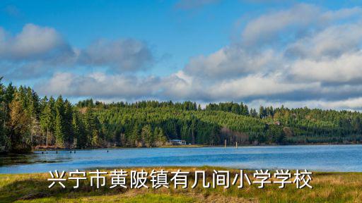 興寧市黃陂鎮(zhèn)有幾間小學學校