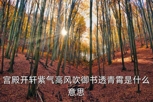 宮殿開軒紫氣高風吹御書透青霄是什么意思