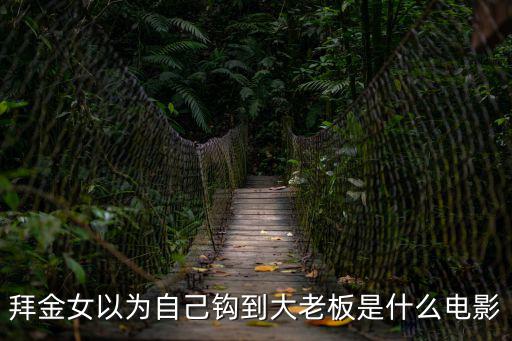 拜金女以為自己鉤到大老板是什么電影