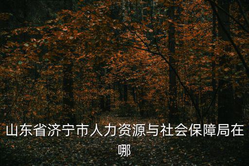 山東省濟(jì)寧市人力資源與社會(huì)保障局在哪