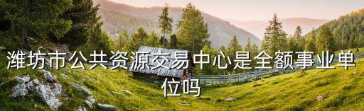 濰坊市公共資源交易中心是全額事業單位嗎