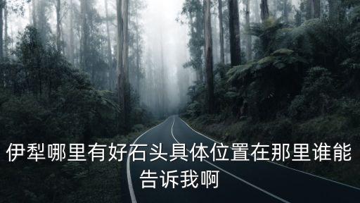 伊犁石，新疆伊犁產玉石嗎