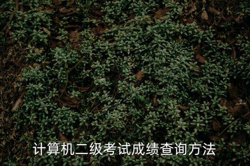 二級考試成績查詢，國家計算機二級成績查詢