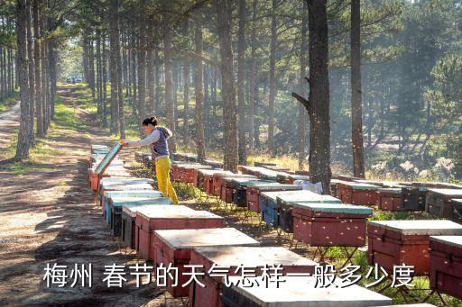 廣東梅州天氣，梅州 春節的天氣怎樣一般多少度
