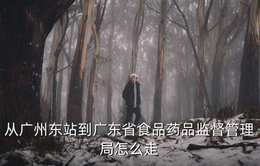 從廣州東站到廣東省食品藥品監督管理局怎么走