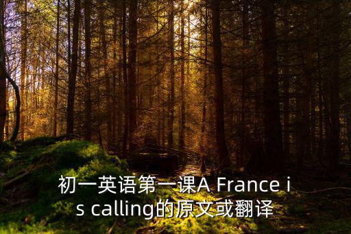 初一英語第一課A France is calling的原文或翻譯