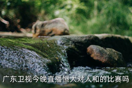 廣東衛(wèi)視今晚直播恒大對(duì)人和的比賽嗎