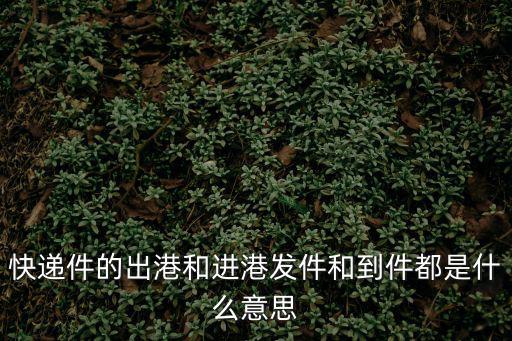 出港，進港 出港 什么意思