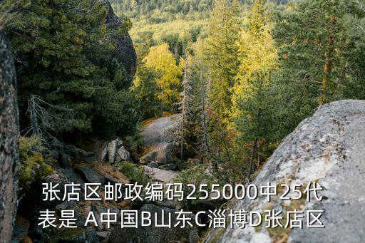 張店區郵政編碼255000中25代表是 A中國B山東C淄博D張店區