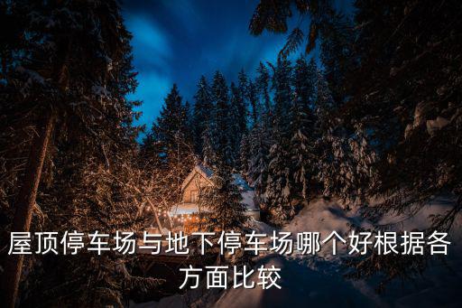 樓頂停車，樓上停車場是以一種什么樣的結(jié)構(gòu)使車上樓的