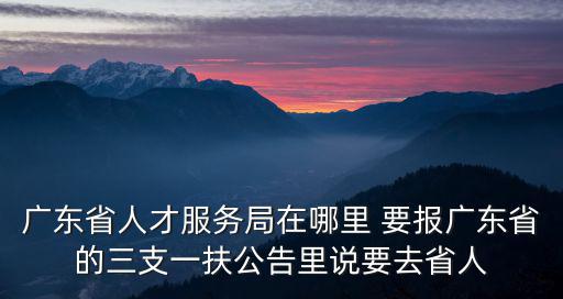 廣東省人才服務局，廣東省人才服務中心
