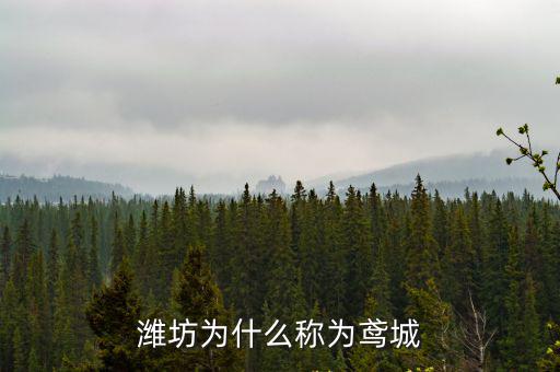 濰坊為什么稱為鳶城