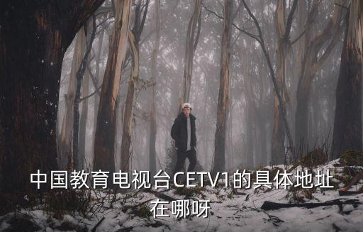 中國教育電視臺CETV1的具體地址在哪呀