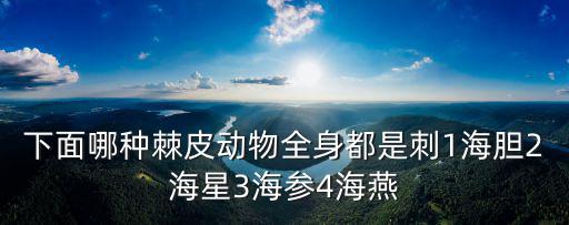 下面哪種棘皮動(dòng)物全身都是刺1海膽2海星3海參4海燕