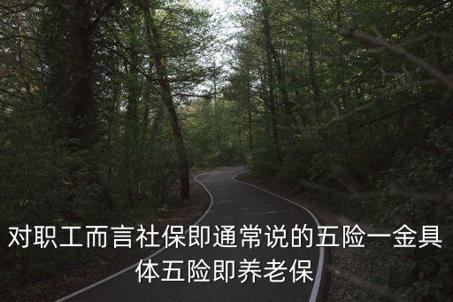 對職工而言社保即通常說的五險一金具體五險即養老保