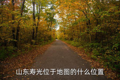 壽光市地圖，壽光在哪個(gè)地區(qū)