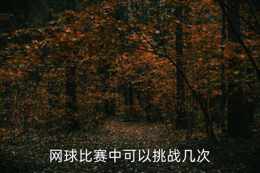 網(wǎng)球挑戰(zhàn)賽，網(wǎng)球比賽中可以挑戰(zhàn)幾次