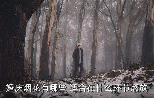 婚慶煙花有哪些 適合在什么環(huán)節(jié)燃放