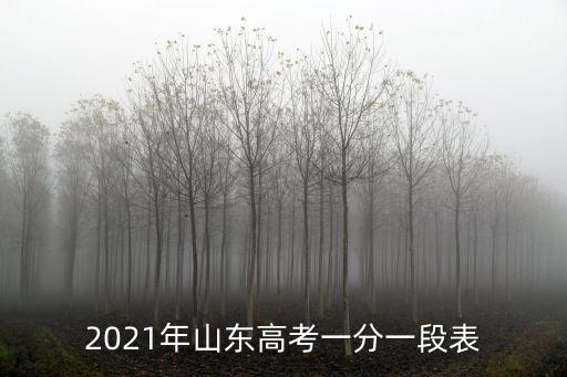 2021年山東高考一分一段表