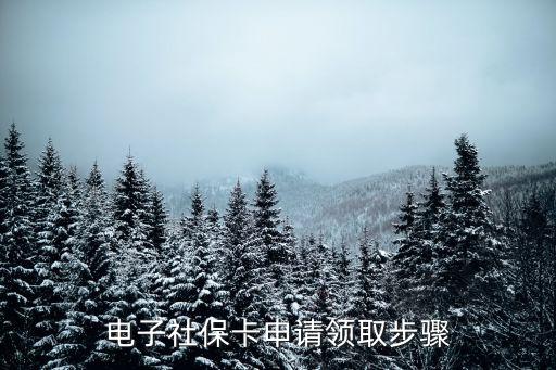 電子社保卡申請領取步驟