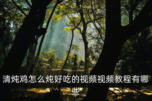 雞視頻，5233功能