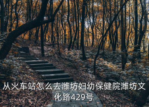 從火車站怎么去濰坊婦幼保健院濰坊文化路429號