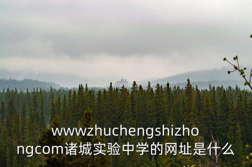 wwwzhuchengshizhongcom諸城實驗中學的網址是什么