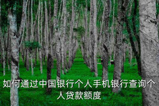 如何通過中國銀行個人手機銀行查詢個人貸款額度