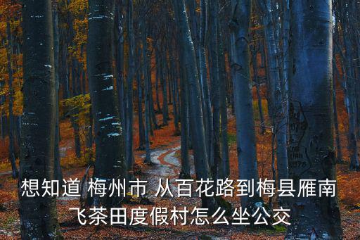 想知道 梅州市 從百花路到梅縣雁南飛茶田度假村怎么坐公交