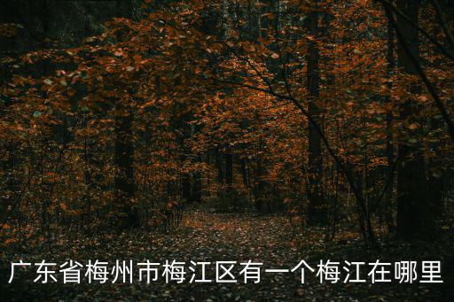 廣東省梅州市梅江區有一個梅江在哪里