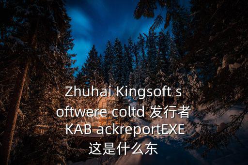Zhuhai Kingsoft softwere coltd 發行者 KAB ackreportEXE這是什么東