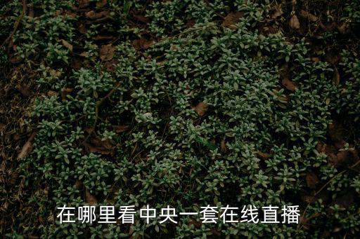在哪里看中央一套在線直播