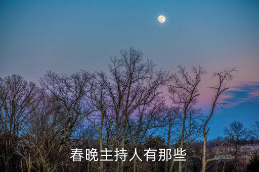 春晚主持人有那些