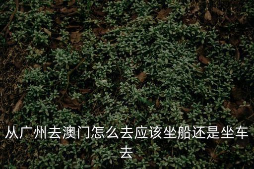 廣州到澳門，如何從廣州前往澳門