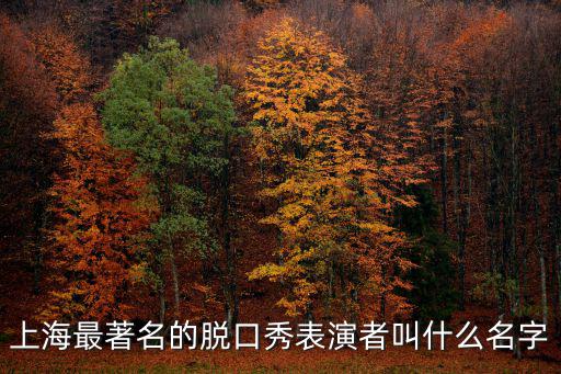 脫口秀演員有哪些，上海最著名的脫口秀表演者叫什么名字