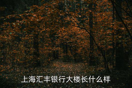 上海匯豐銀行大樓長什么樣