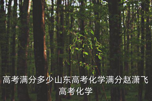 山東高考化學，高考滿分多少山東高考化學滿分趙瀟飛高考化學