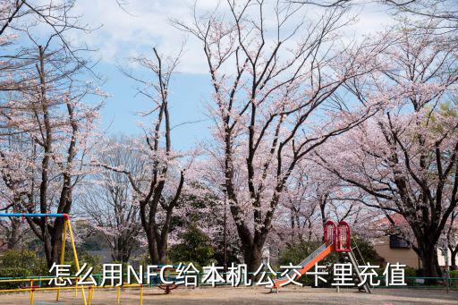 怎么用NFC給本機公交卡里充值