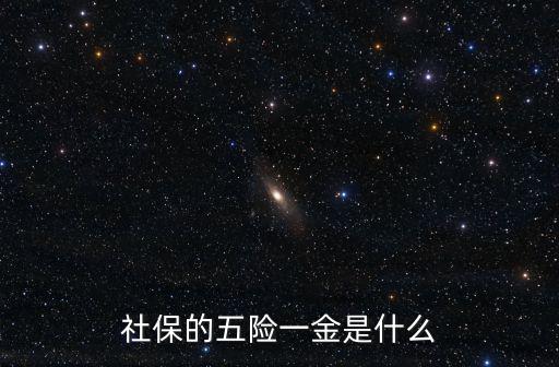 社保的五險一金是什么