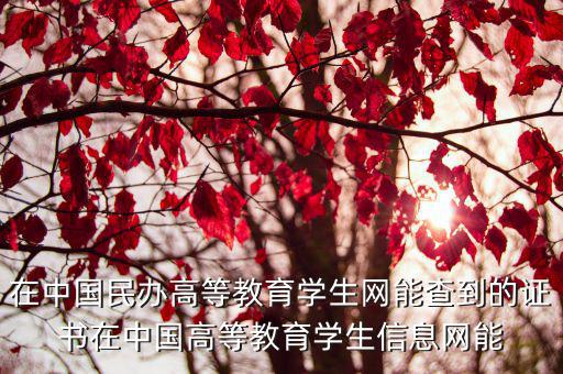 在中國民辦高等教育學(xué)生網(wǎng)能查到的證書在中國高等教育學(xué)生信息網(wǎng)能