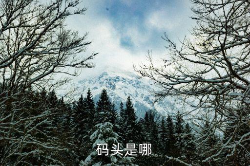碼頭是哪