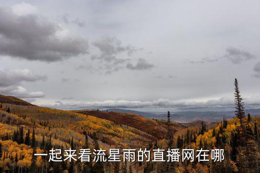 一起來看流星雨的直播網在哪