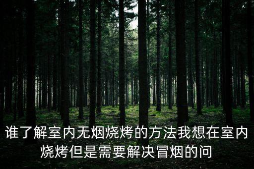 誰了解室內無煙燒烤的方法我想在室內燒烤但是需要解決冒煙的問
