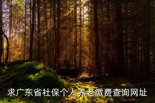 廣東省社會保障局，誰知道廣東社保局的網站在這里先謝謝好心人了