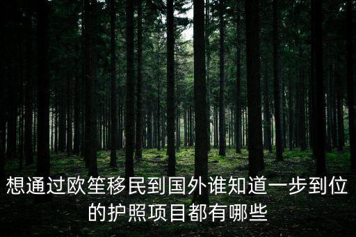 想通過歐笙移民到國外誰知道一步到位的護照項目都有哪些